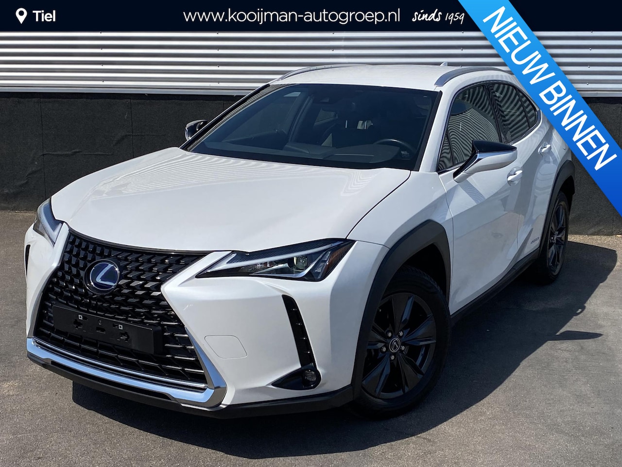 Lexus UX - 250h Comfort Business Apple Carplay en/of Android auto navigatie, Achteruitrijcamera, LMV, - AutoWereld.nl
