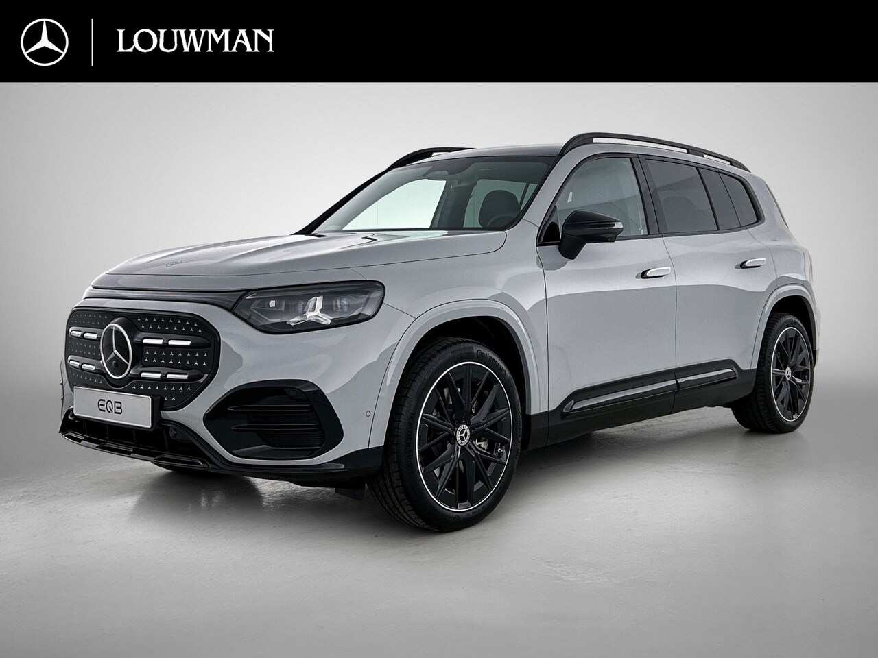 Mercedes-Benz GLB - 250+ Business Solution AMG 7p. 85.5 kWh | Premium Plus pakket | Verstelbare demping | Wint - AutoWereld.nl