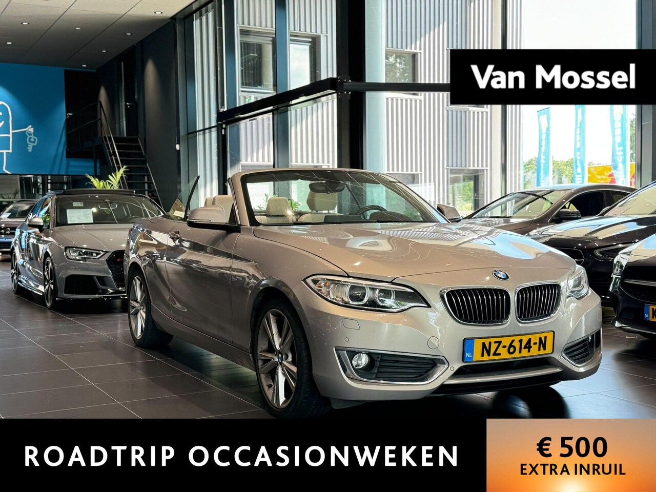 BMW 2-serie Cabrio - 220i High Executive | Cabriolet | HiFi System Harman Kardon | Automaat | Leder Dakota Canb - AutoWereld.nl