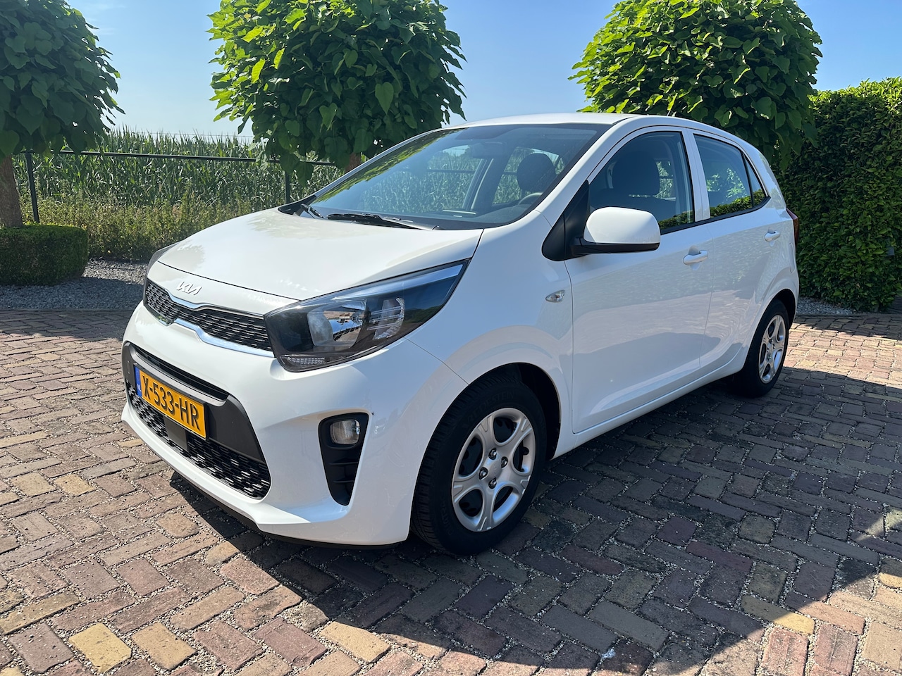 Kia Picanto - 1.0 DPi ComfortLine Airco | Cruise - AutoWereld.nl