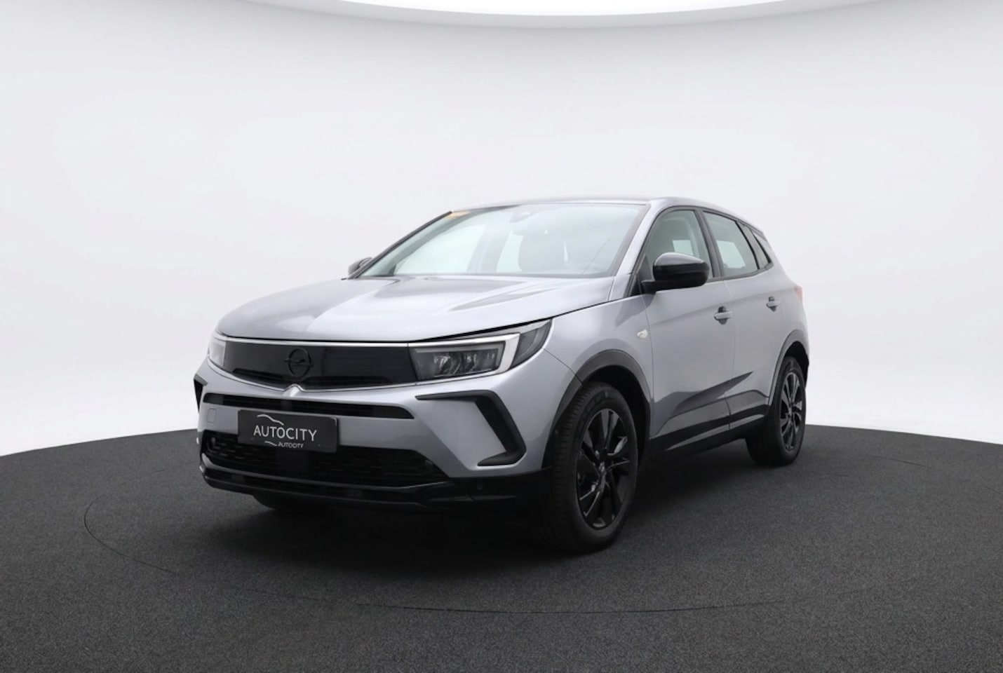 Opel Grandland X - 1.2 Turbo AT8 GS Line Winterpakket l Camera l Adaptive - AutoWereld.nl