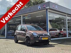 Fiat Panda - 1.2 Cross trussardi uniek
