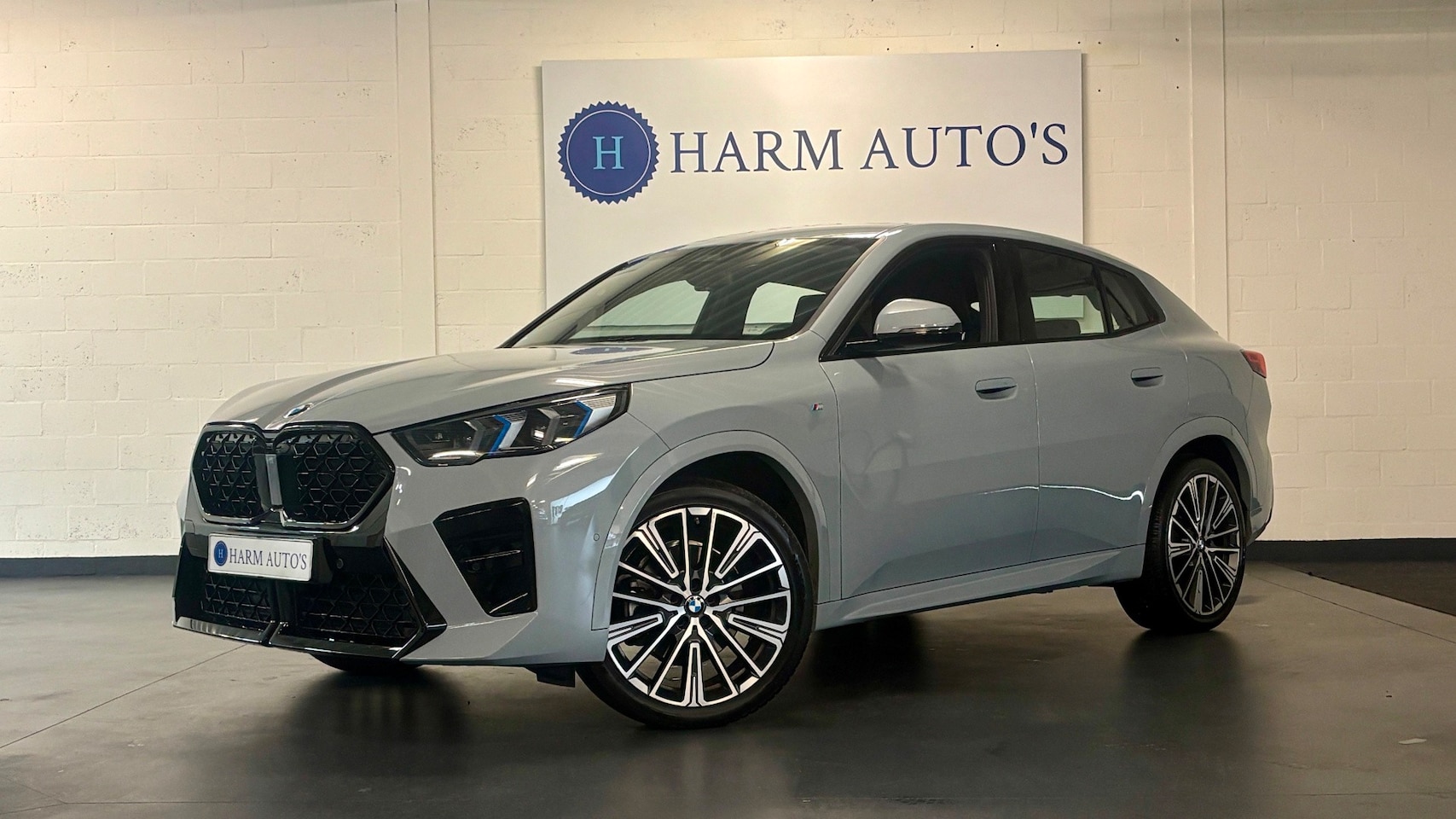 BMW X2 - SDrive20i M Edition Alcantara / Navi / CAM / LED/ '20' / Clima - AutoWereld.nl