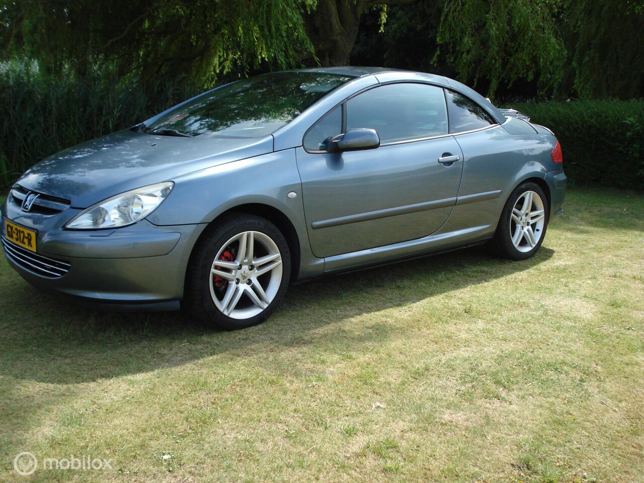 Peugeot 307 CC - 2.0-16V 2.0-16V - AutoWereld.nl