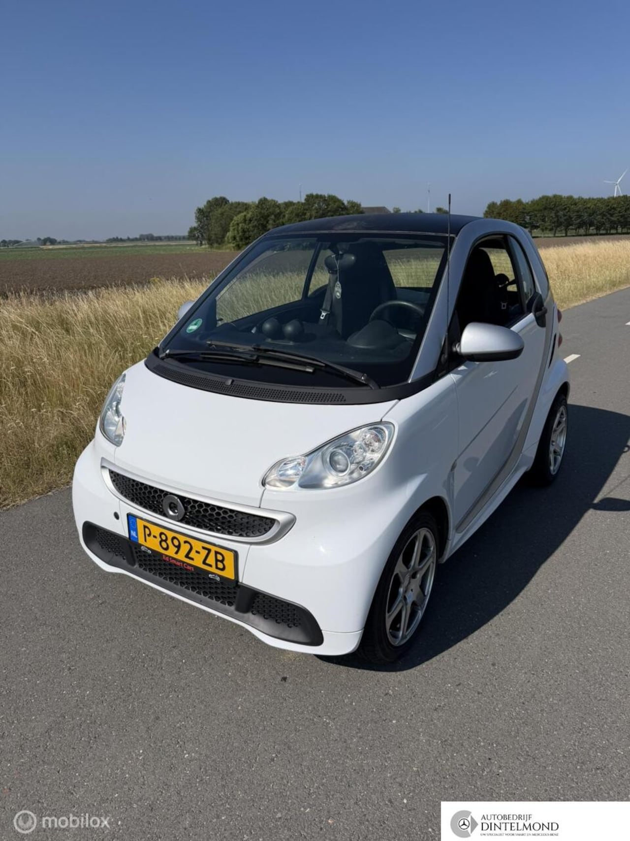 Smart Fortwo coupé - Electric drive lederen bekleding/LMvelgen - AutoWereld.nl