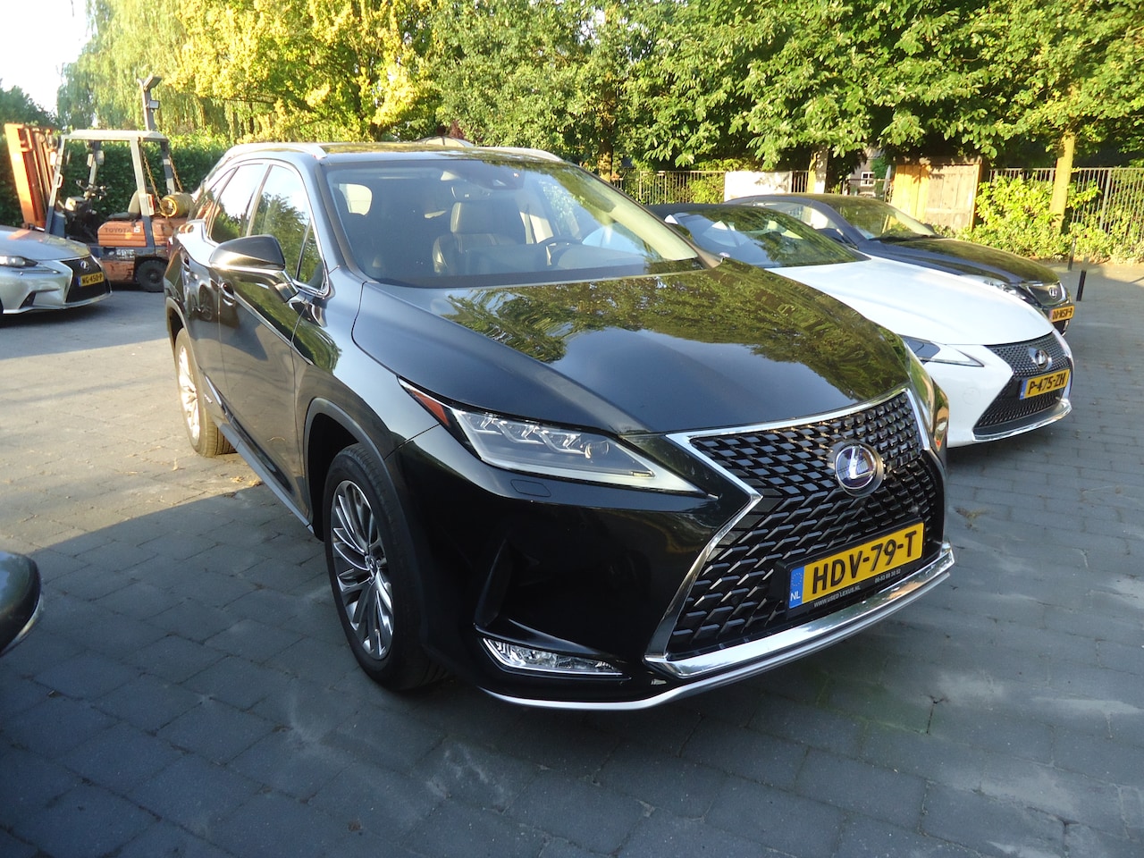 Lexus RX - 450hL 4WD President Line UNIEKE AUTO EN UITVOERING