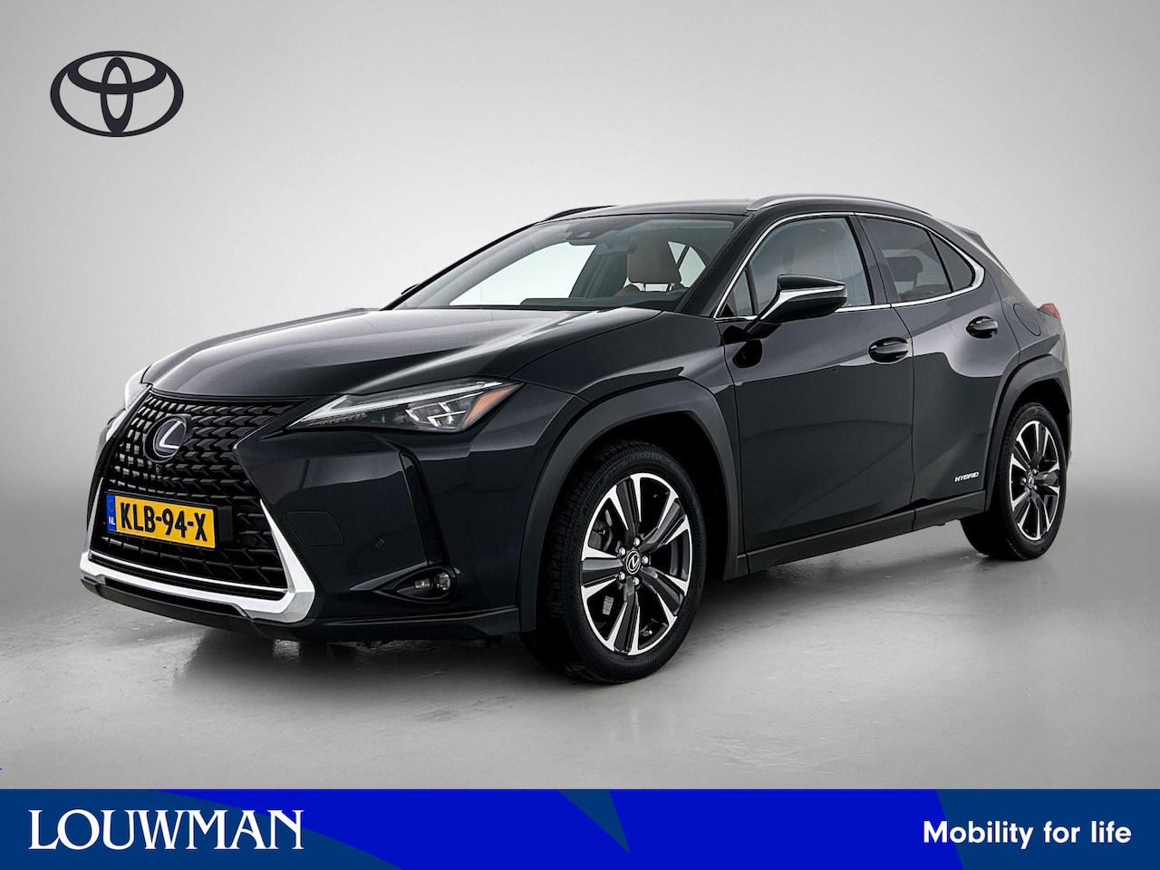 Lexus UX - 250h Executive Line + President Pack | Mark Levinson Premium audio | - AutoWereld.nl