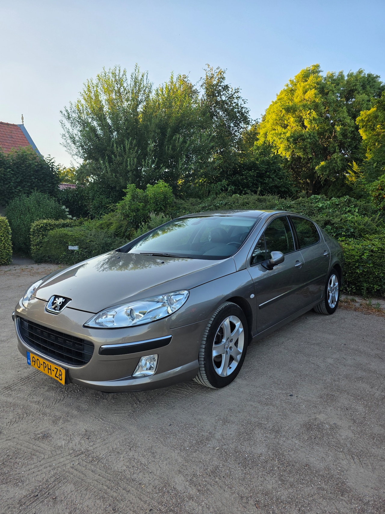 Peugeot 407 - 2.0-16V XS Mooie peugeot 407 2.0 16v - AutoWereld.nl