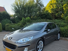 Peugeot 407 - 2.0-16V XS Mooie peugeot 407 2.0 16v