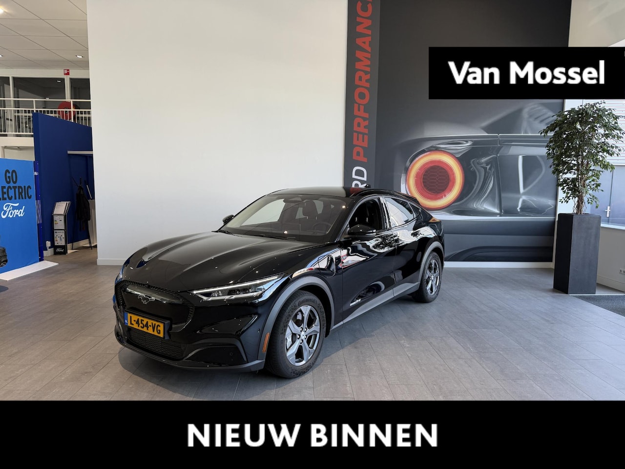 Ford Mustang Mach-E - RWD 75 kWh | WINTERPACK | ADAPTIVE CRUISE CONTROL | PANORAMADAK | 360 CAMERA - AutoWereld.nl