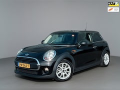 MINI One - 1.2 Salt Business