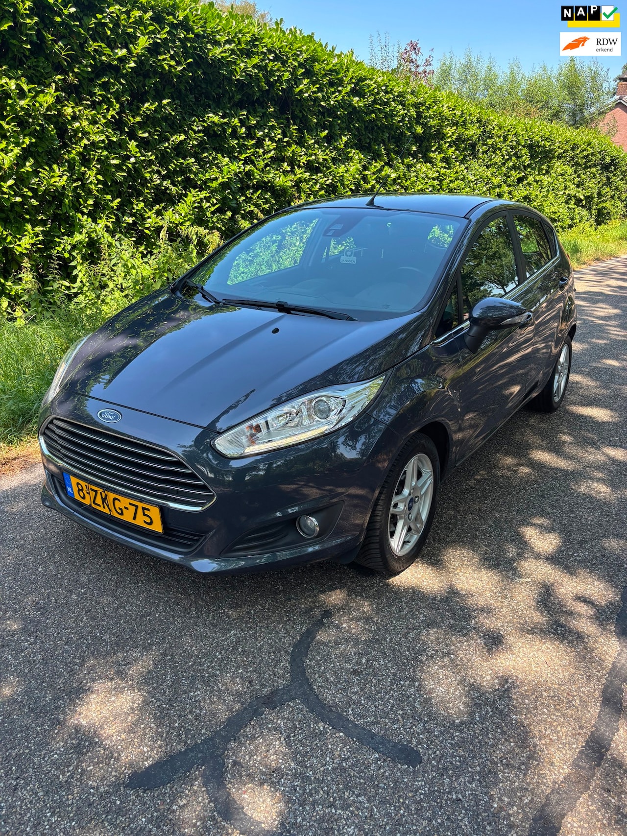 Ford Fiesta - 1.0 EcoBoost Titanium apk tot 10-7-2027 - AutoWereld.nl
