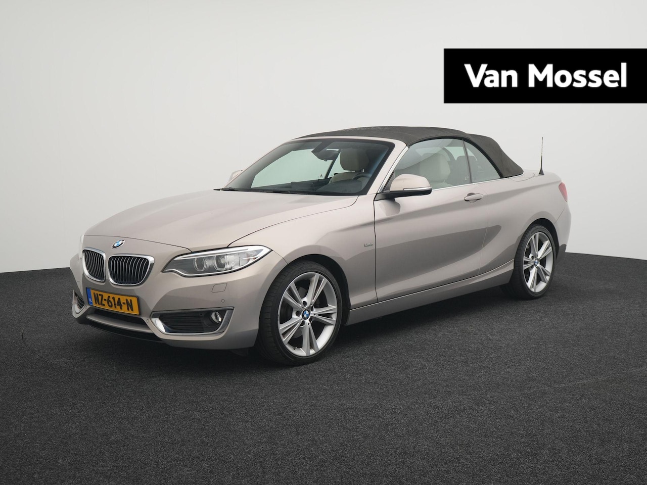 BMW 2-serie Cabrio - 220i High Executive | Cabriolet | HiFi System Harman Kardon | Automaat | Leder Dakota Canb - AutoWereld.nl