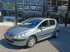 Peugeot 307 - 1.6-16V XS Automaat