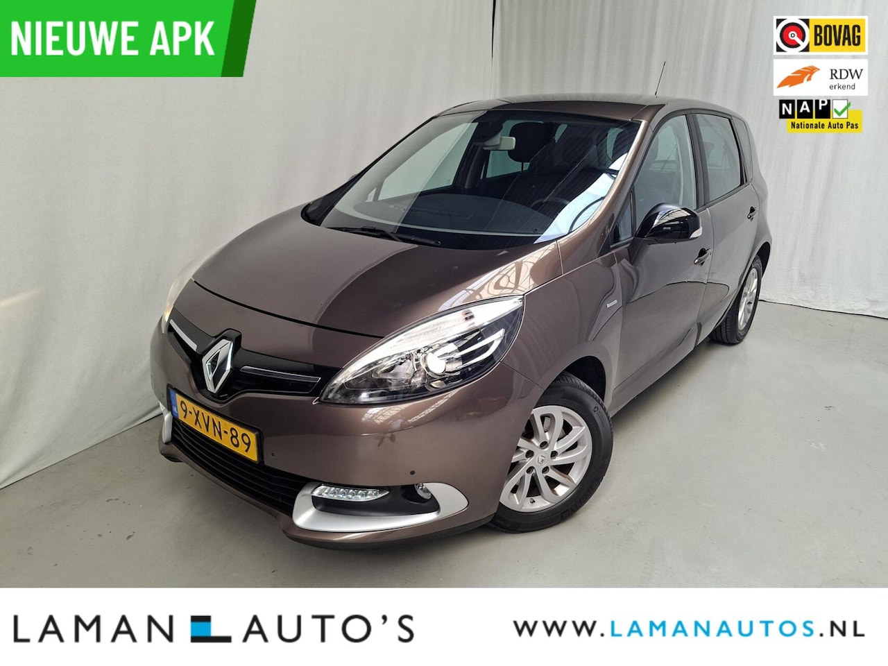 Renault Scénic - 1.2 TCe 132pk Limited | Navi Clima Trekhaak Cruise 16" LMV Metallic | Voorschoten - AutoWereld.nl