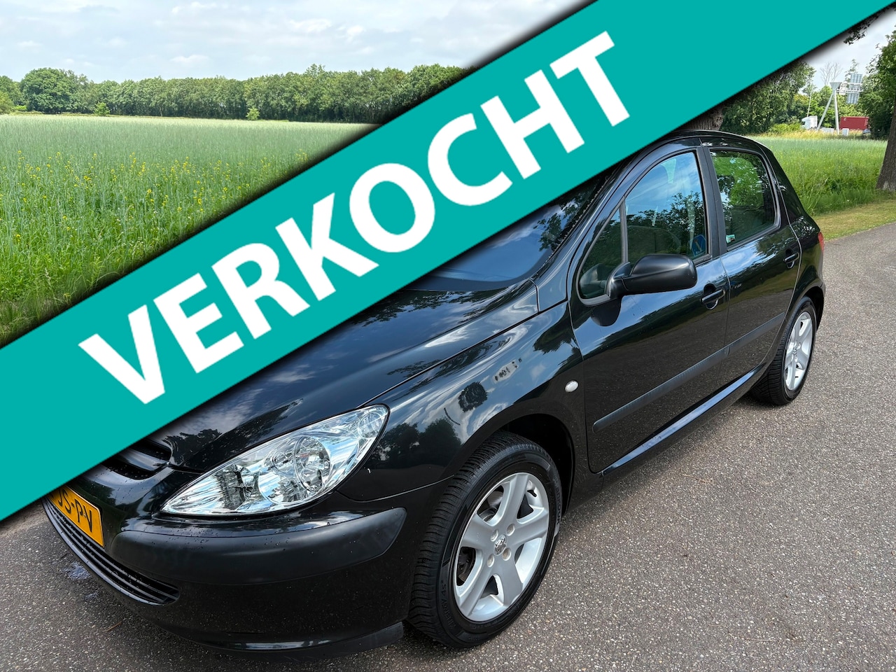 Peugeot 307 - 2.0-16V XT Airco/APK/Trekhaak/Elektr. Ramen/Centraal - AutoWereld.nl