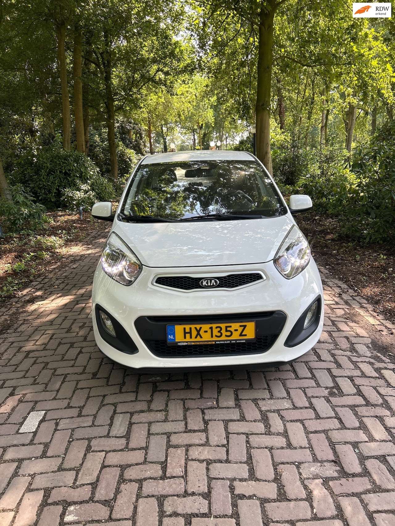 Kia Picanto - 1.0 CVVT DynamicLine 1.0 CVVT DynamicLine - AutoWereld.nl