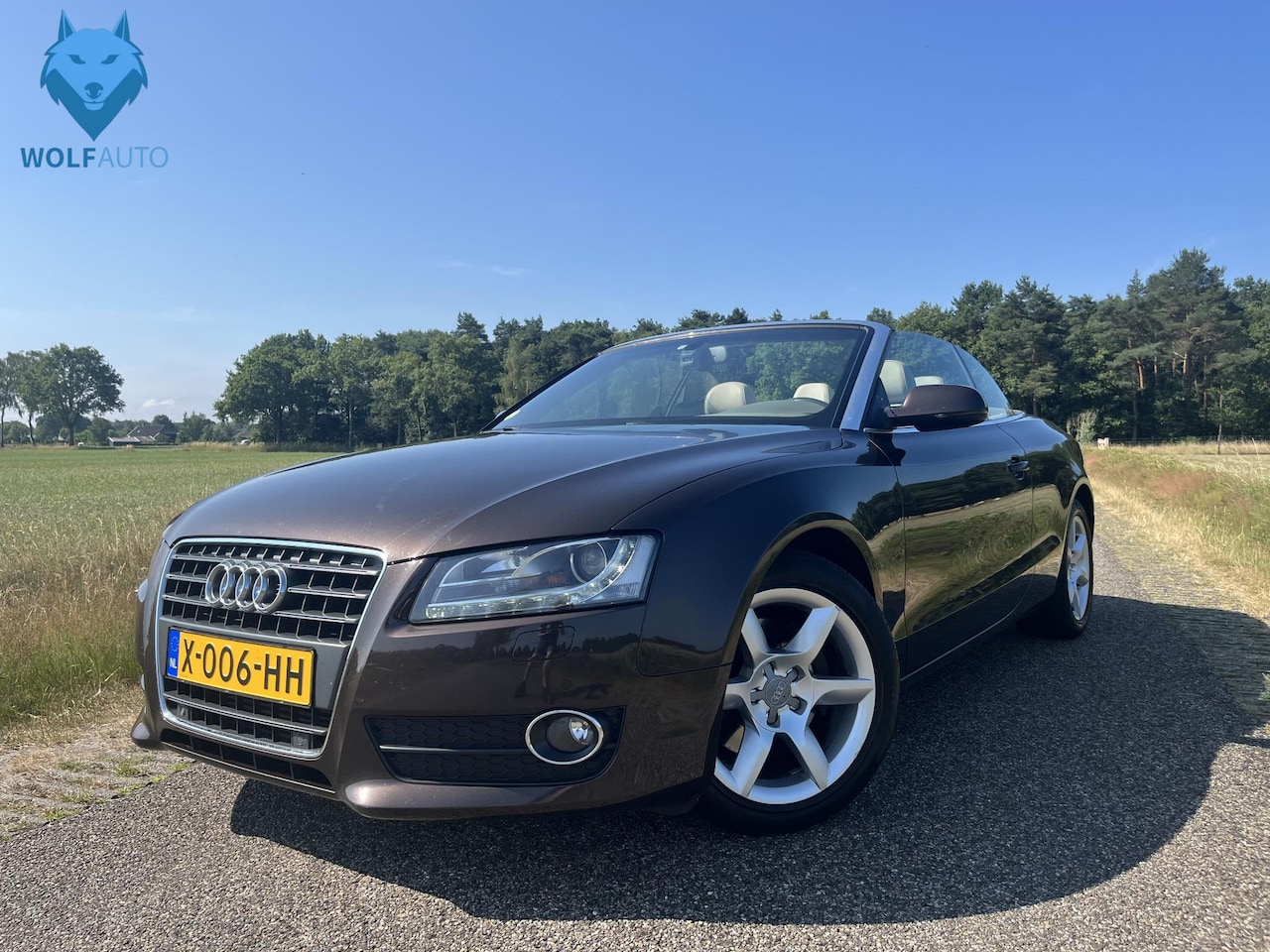 Audi A5 Cabriolet - 2.7 TDI Pro Line V6 ONDERHOUDSHISTORIE! CHIQUE AUTO! - AutoWereld.nl