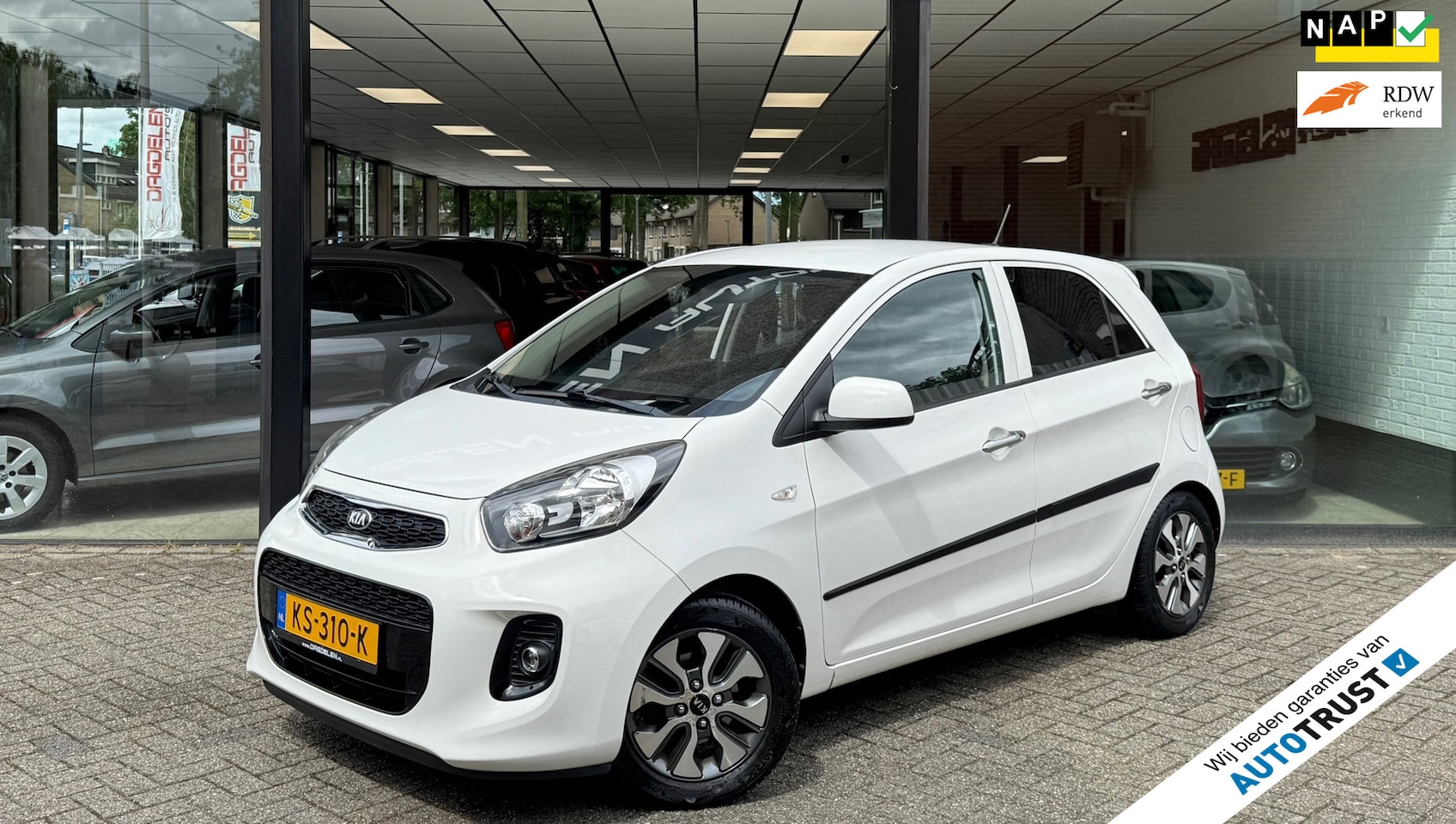 Kia Picanto - 1.0 CVVT 2e EIG | NAVI | CAMERA | CRUISE | LMV | NAP - AutoWereld.nl