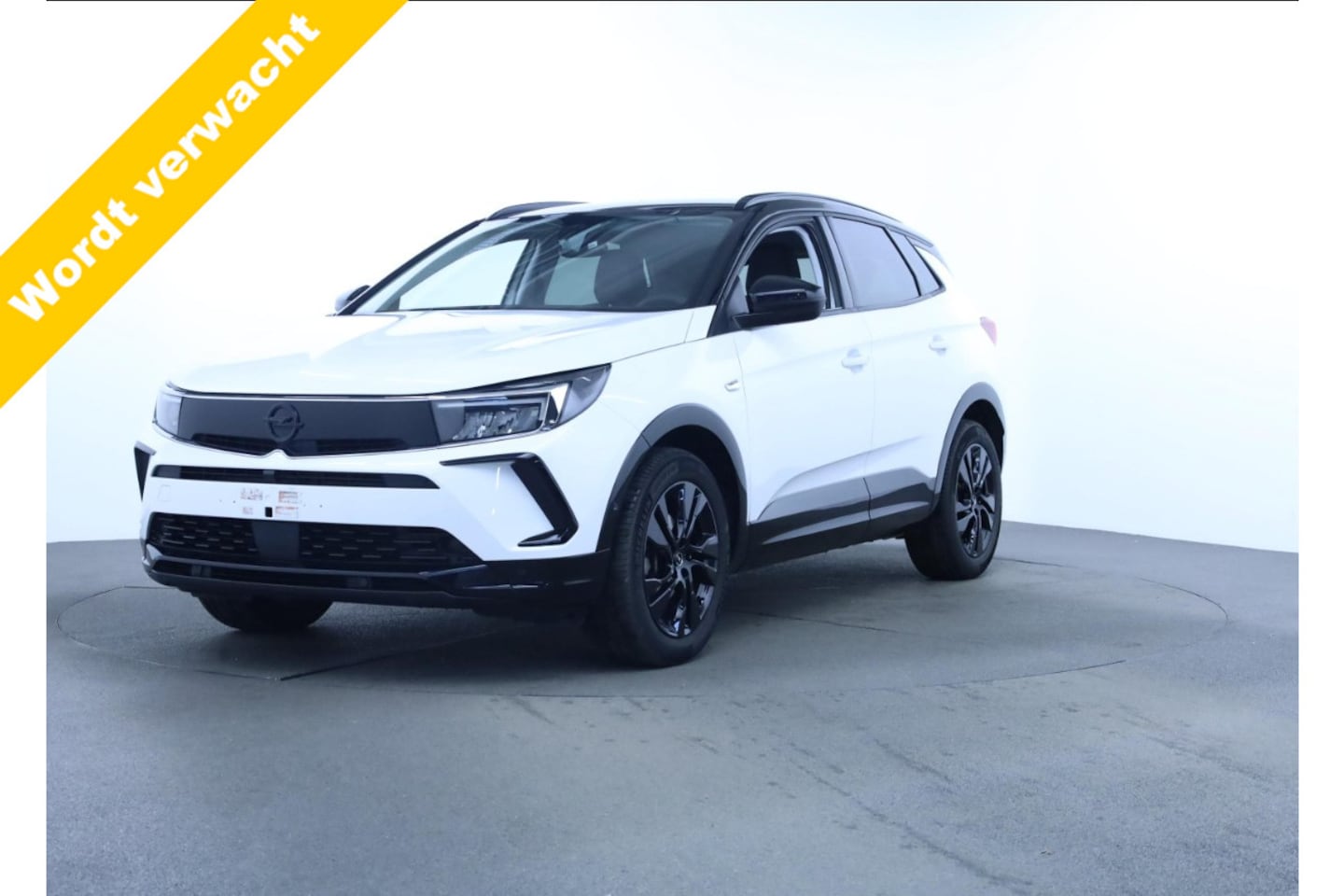 Opel Grandland - 1.2 Turbo GS Automaat Stoel en stuur verwarming/AGR stoelen. - AutoWereld.nl