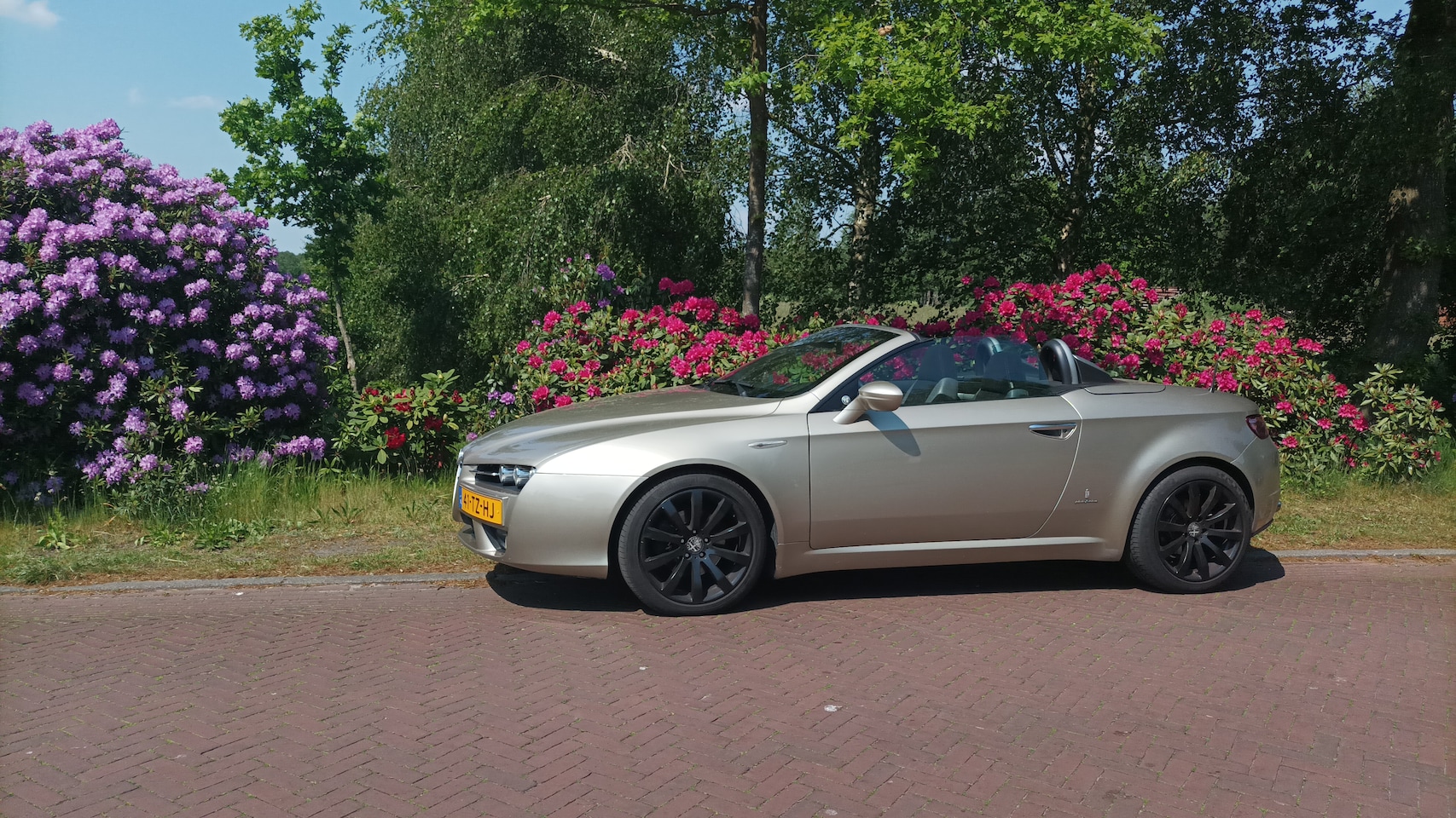 Alfa Romeo Spider - 2.2 JTS Oro Soave (zacht goud) - AutoWereld.nl