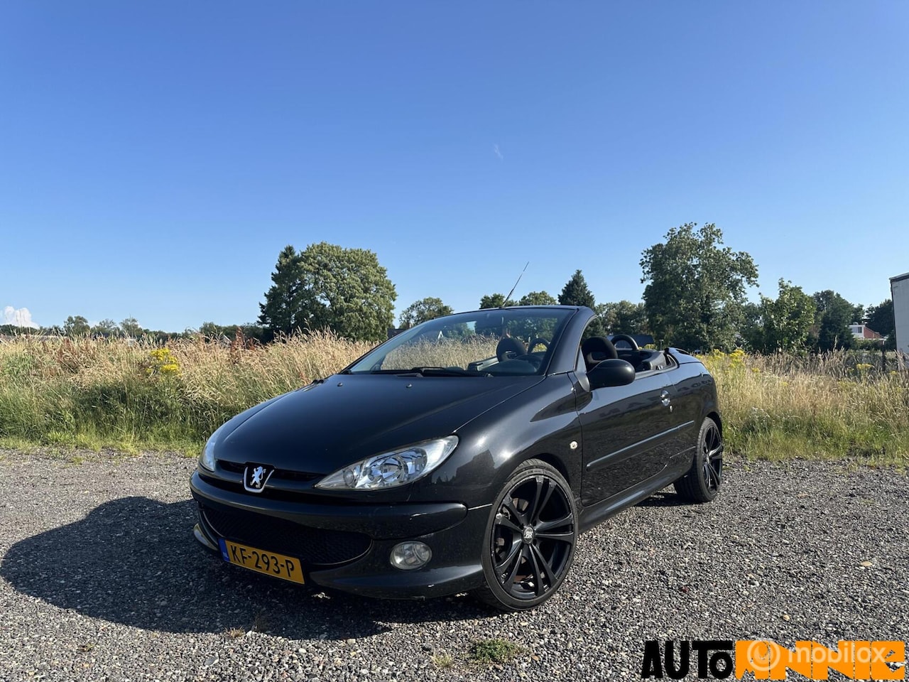Peugeot 206 CC - 1.6-16V Cabrio - AutoWereld.nl