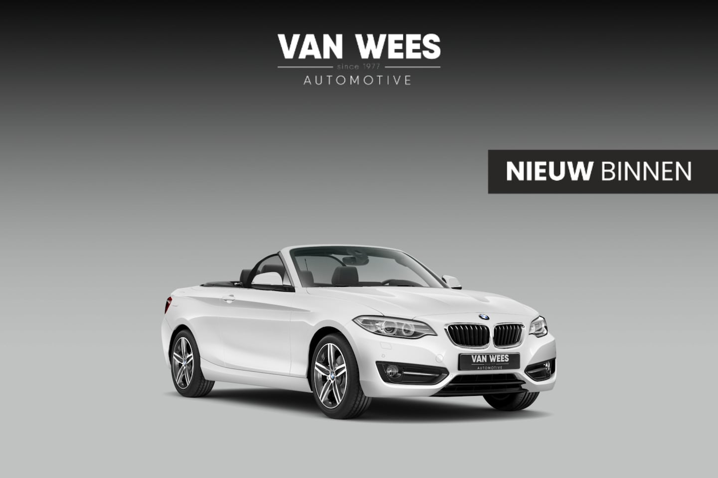 BMW 2-serie Cabrio - 220i Sport-Line | 2e eigenaar | Dealer onderhouden | Innovation pakket | HiFi audio | DAB - AutoWereld.nl