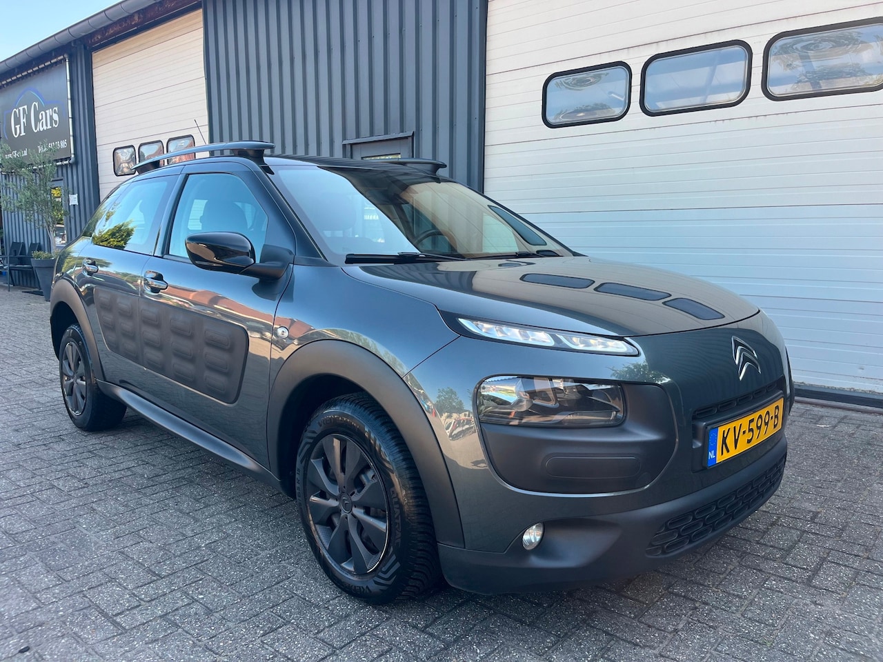 Citroën C4 Cactus - 1.6 BlueHDi Business 2016 NAP - AutoWereld.nl