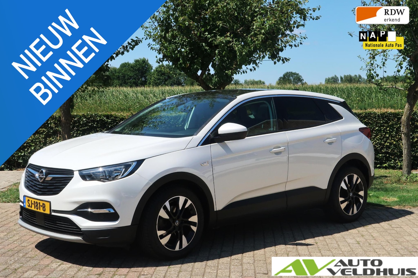 Opel Grandland X - 1.2 Turbo Business Executive 1.2 Turbo Business Executive - AutoWereld.nl