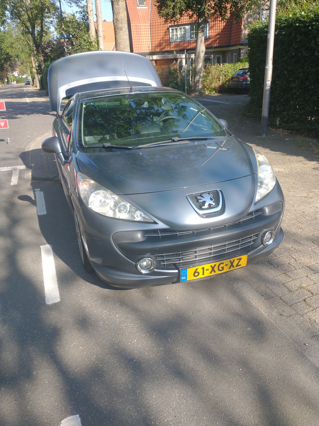 Peugeot 207 CC - 1.6 VTi Féline - AutoWereld.nl