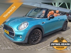 MINI Cabrio - 1.5 Cooper Pepper Serious Business D.O. | Leder