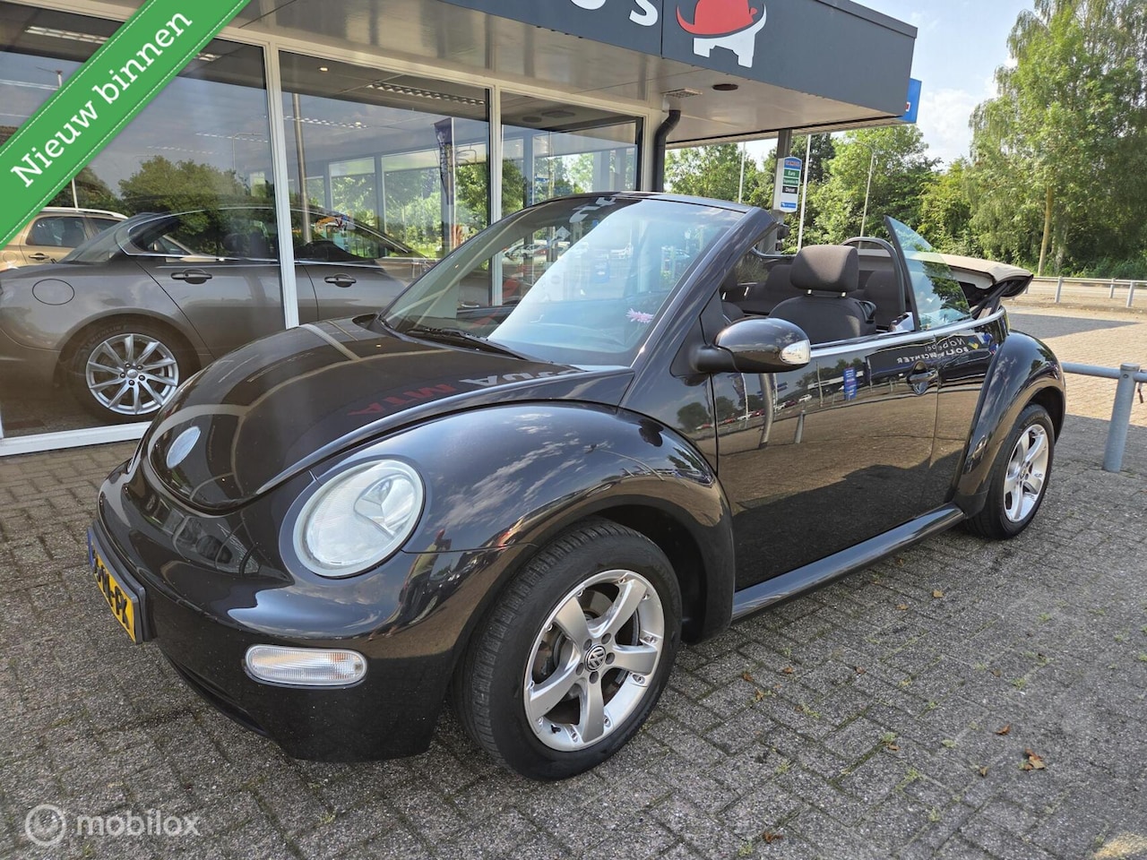 Volkswagen New Beetle Cabriolet - 1.6 Turijn Airco Cruise - AutoWereld.nl