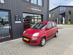 Fiat Panda - 1.2 Edizione Cool|Hoge zit|Airco|Lichtmetalen velgen|NL auto|
