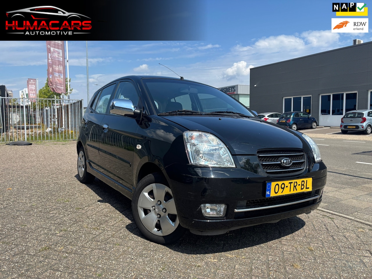 Kia Picanto - 1.0 Bling|Nap|Elek ramen - AutoWereld.nl