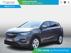 Opel Grandland X - 1.2 Turbo Business Edition | 130 PK | NAVI| CLIMATE CONTROL | STOELVERWARMING | AGR STOEL