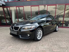 BMW 2-serie Cabrio - 220i | NL auto | 2e eigenaar | PDC | Navi | Leder | Stoelverw