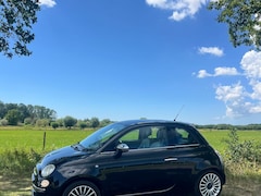 Fiat 500 - 1.2 Lounge