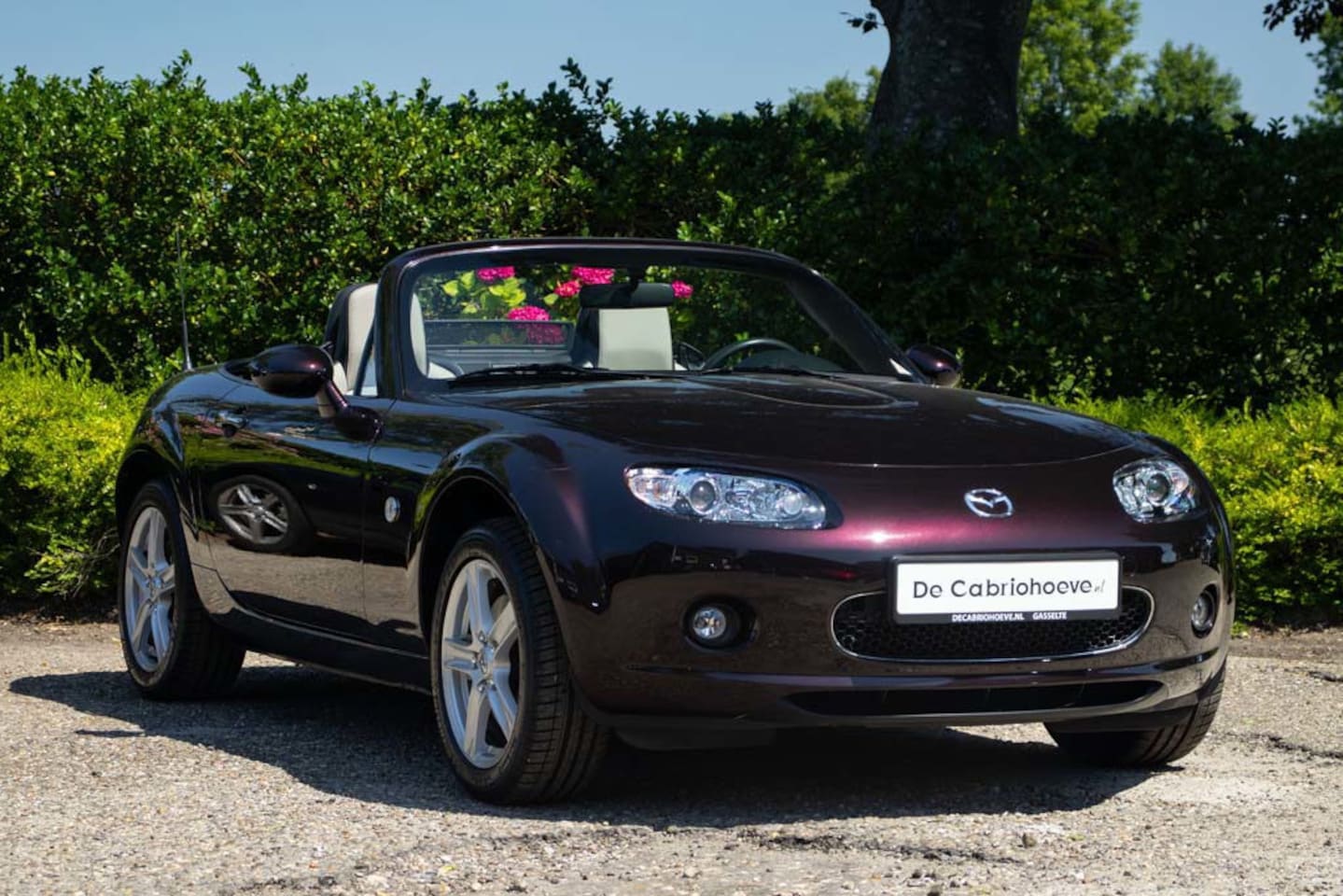 Mazda MX-5 - NC 1.8l Radiant Ebony Mica - Mithra - AutoWereld.nl