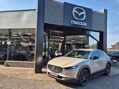 Mazda CX-30 - SKYACTIV-X 2.0 186 6AT AWD HOMURA