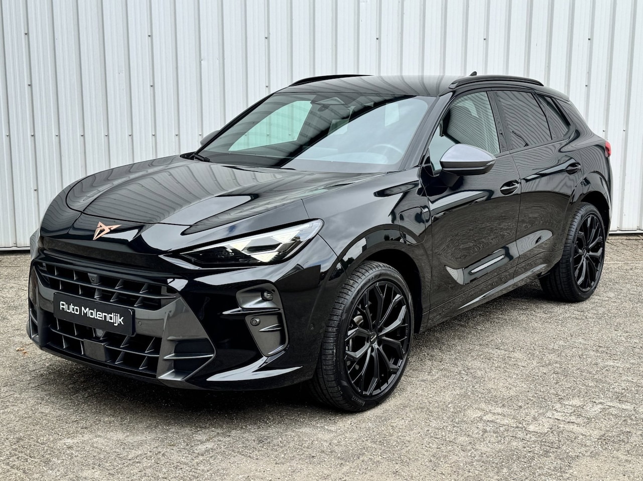 CUPRA Terramar - 1.5 TSI e-Hybrid PHEV / Memory stoel / el. klep / 360 cam / 5jaar Garantie - AutoWereld.nl