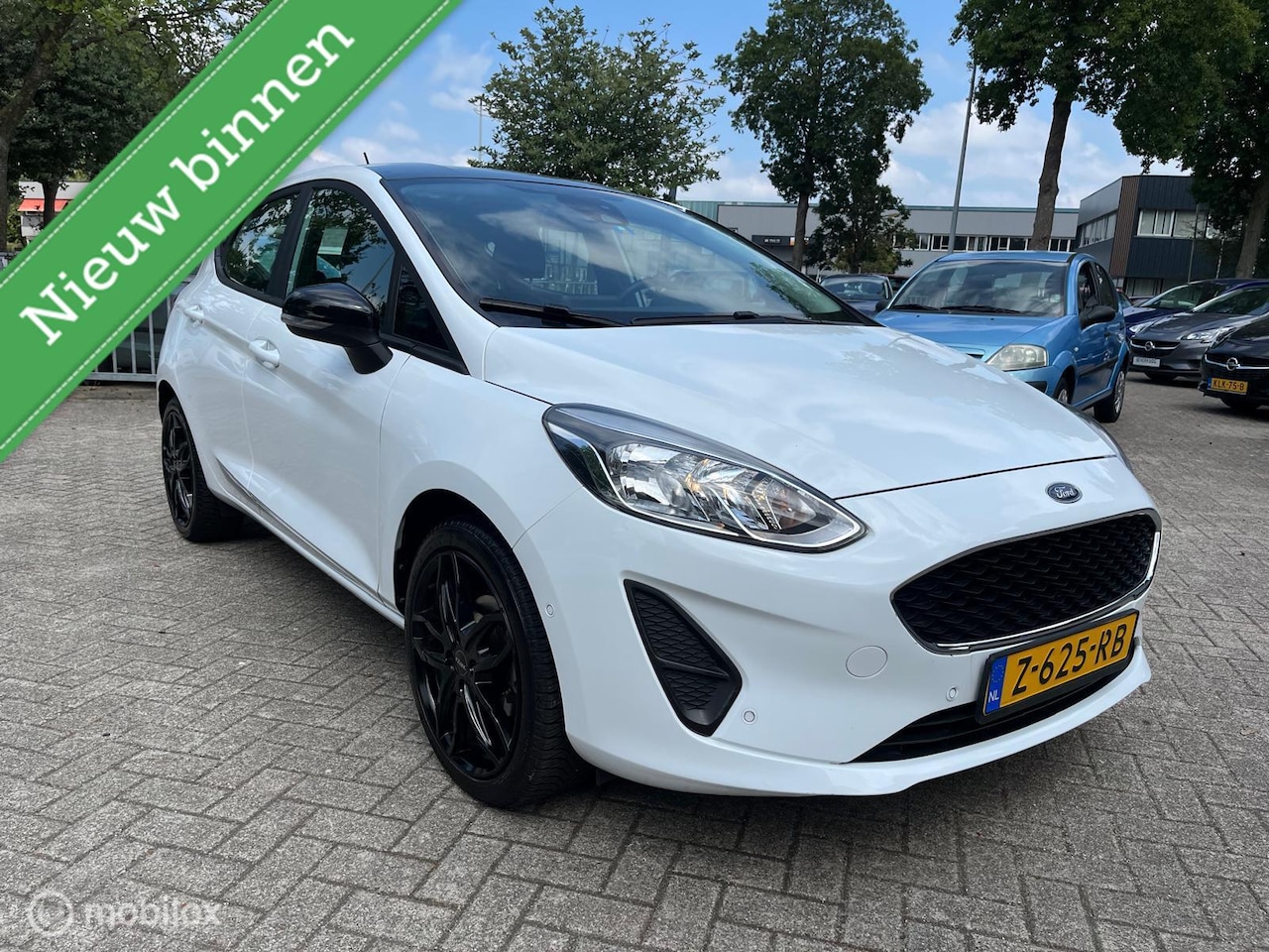 Ford Fiesta - 1.1 Black & White Edition - AutoWereld.nl