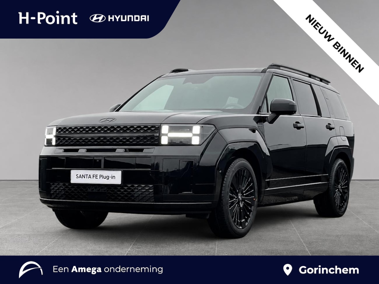 Hyundai Santa Fe - 1.6 T-GDI PHEV Black Line 4WD 6p | 6-PERSOONS | LEDEREN BEKLEDING INCL MEMORY | BLACK PACK - AutoWereld.nl