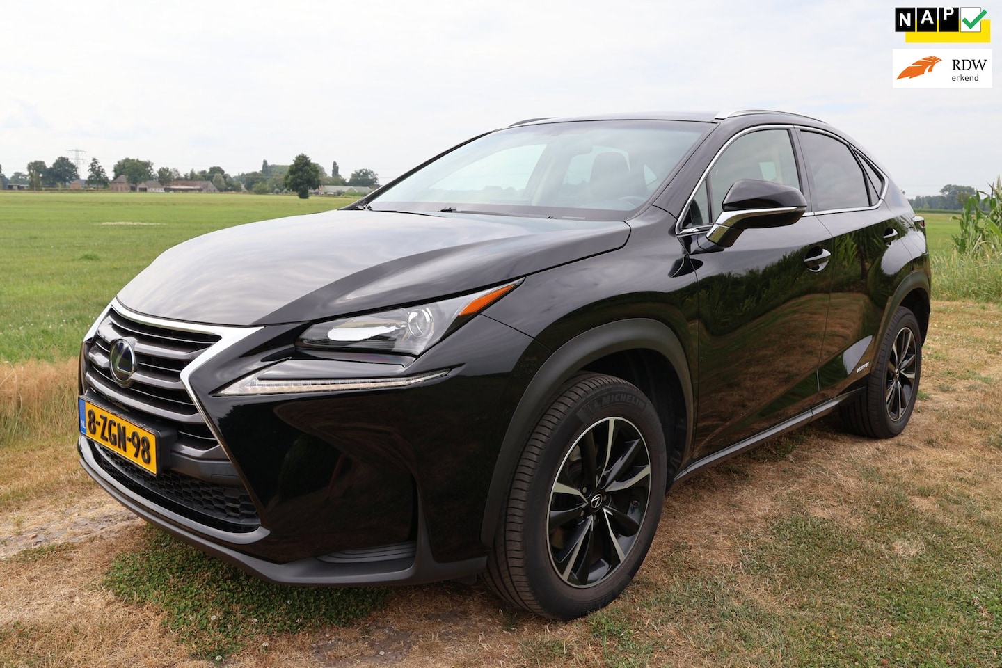Lexus NX - 300h AWD 25th Edition|Trekhaak|Leer|Dealer onderhouden|Stoelverwarming|NL-Auto-NAP| - AutoWereld.nl