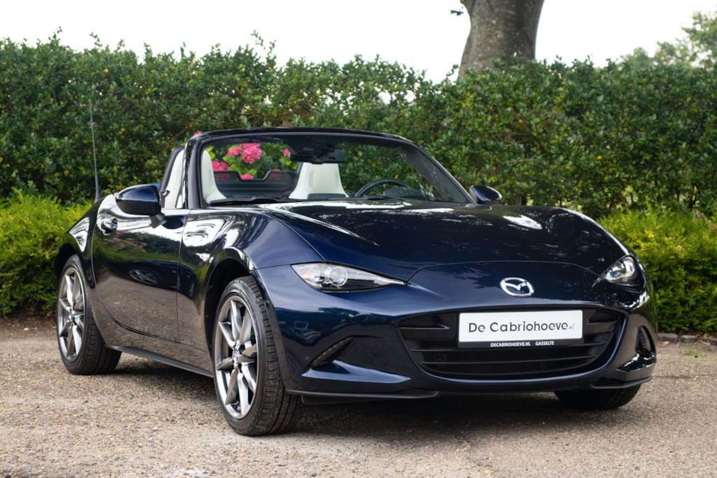Mazda MX-5 - NDRF 2.0l SkyActiv-G 184 GT-M Deep Crystal Blue Mica - AutoWereld.nl