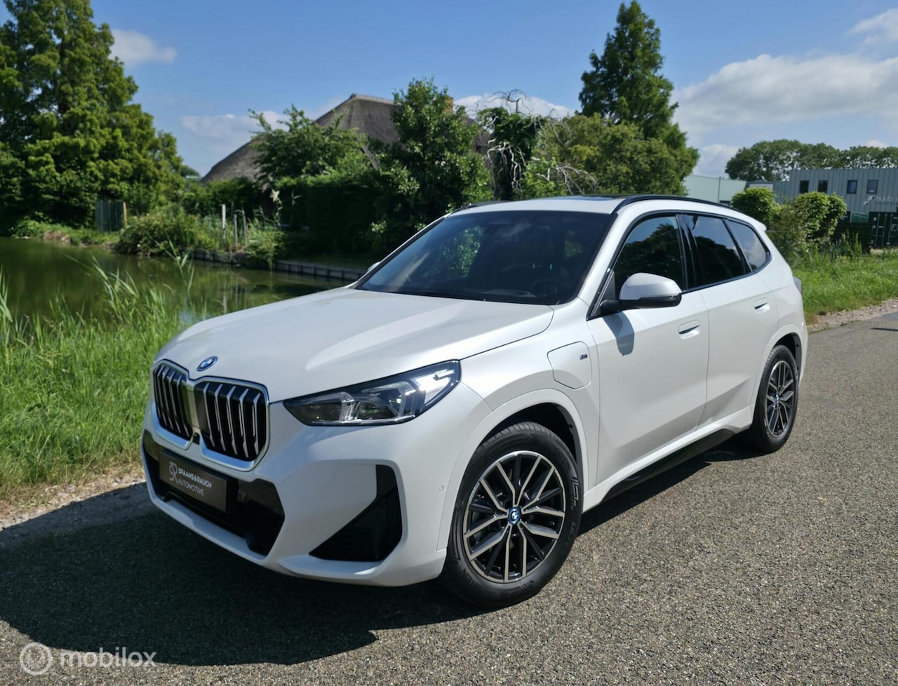 BMW X1 - xDrive25e / M sport / Pano / 360' / Leder / Memory - AutoWereld.nl