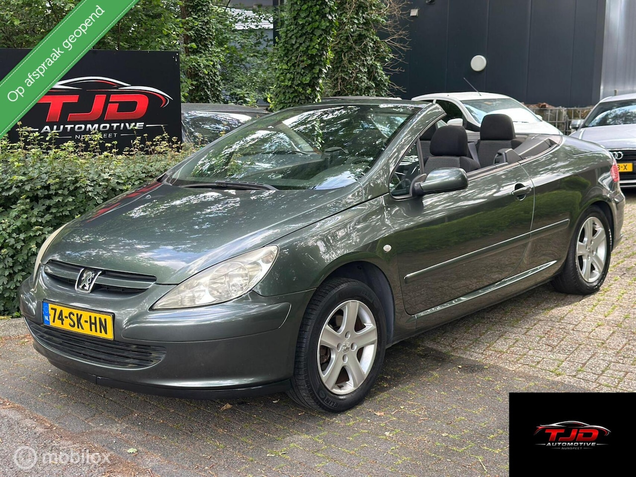 Peugeot 307 CC - 1.6-16V-CLIMA-CABRIO-CRUISE - AutoWereld.nl