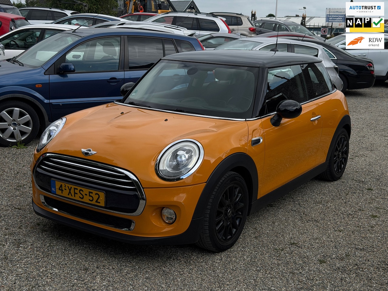 MINI 3-Deurs - 1.5 Cooper First Born Edition Vol Optie Automaat Headsup Leer Camera Clima Cruise - AutoWereld.nl
