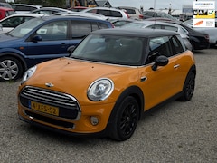MINI 3-Deurs - 1.5 Cooper First Born Edition Vol Optie Automaat Headsup Leer Camera Clima Cruise