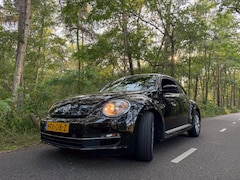 Volkswagen Beetle - 1.8TSI Automaat