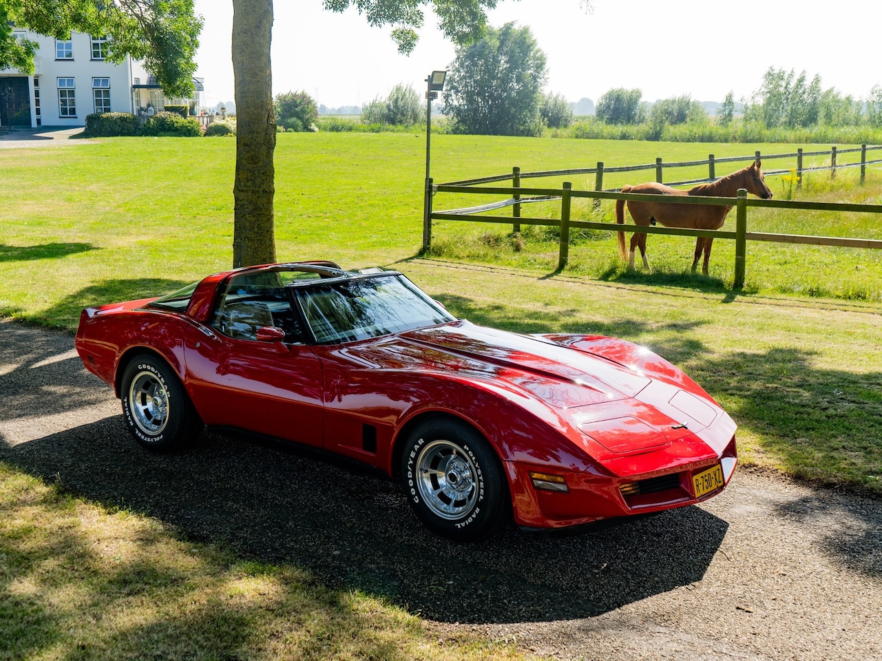 Chevrolet Corvette - T-Roof/Targa 1 YZ 87 - AutoWereld.nl